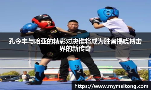 zoty中欧体育