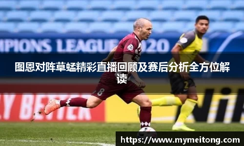 zoty中欧