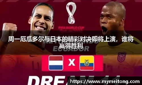 zoty中欧