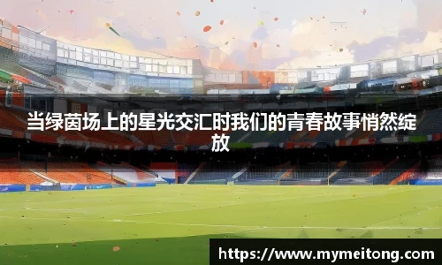 zoty中欧