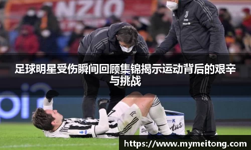 zoty中欧