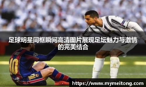 zoty中欧体育官方网站